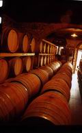 wine cellar